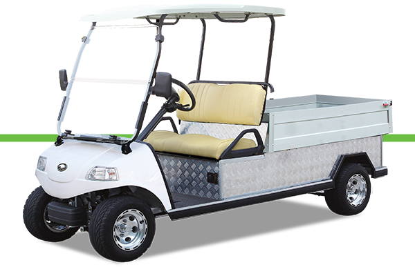 Buy electric work buggy in Seychelles 3